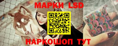 эйфоретик Можга